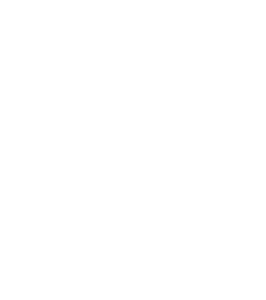 Vrbo Fiesta Bowl