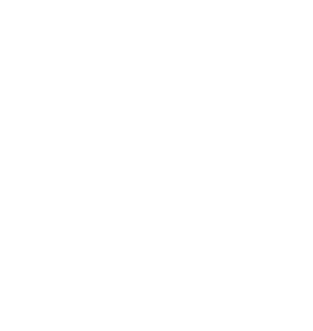 Major League Soccer